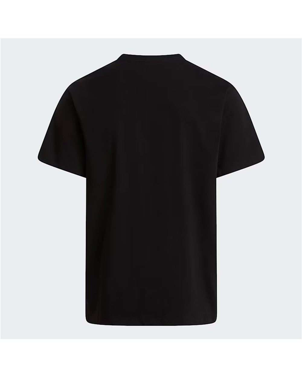 CAMISETA RECTA SIMPLE DOME EVOLUTION.