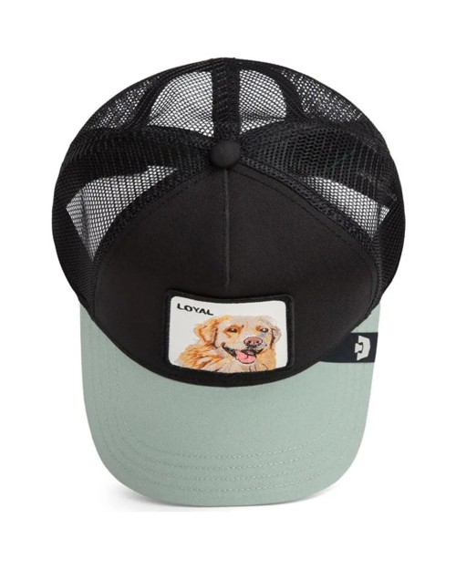 GORRA LOYAL