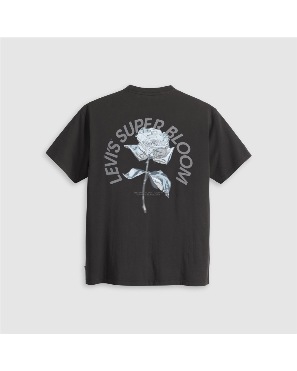 CAMISETA GRAFIC VINTAGE