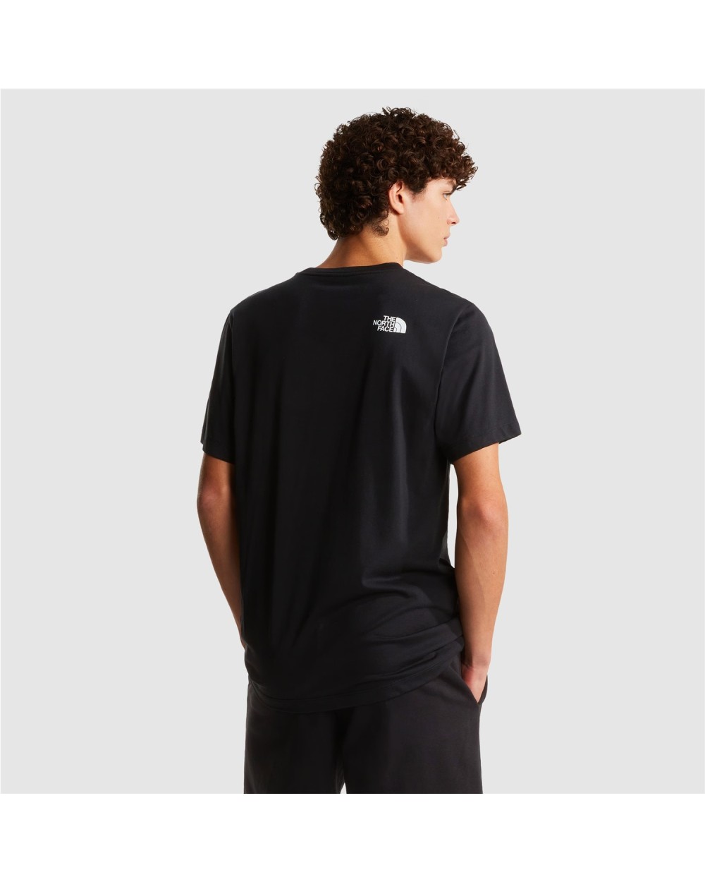 CAMISETA RECTA HALF DOME