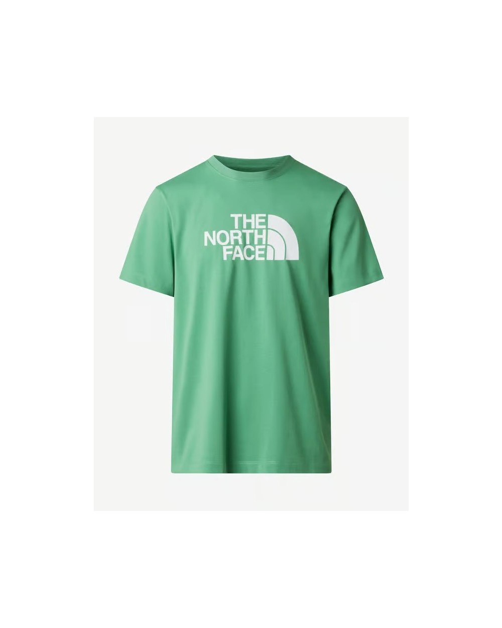 CAMISETA EVO HALF DOME
