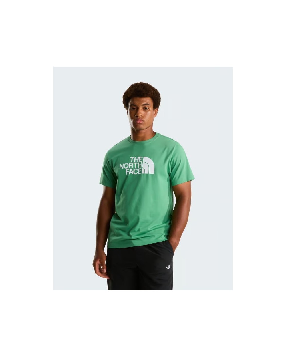 CAMISETA EVO HALF DOME