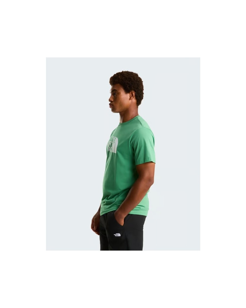 CAMISETA EVO HALF DOME