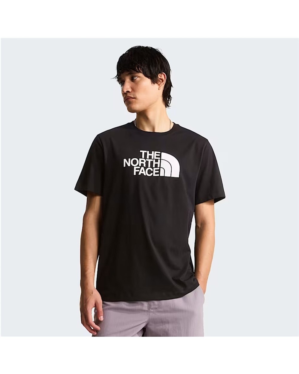 CAMISETA EVO HALF DOME