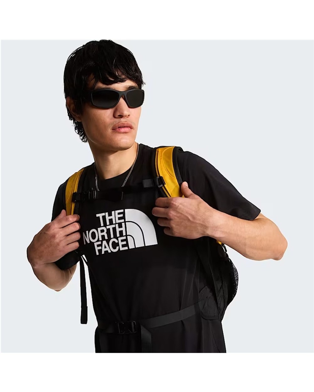 CAMISETA EVO HALF DOME