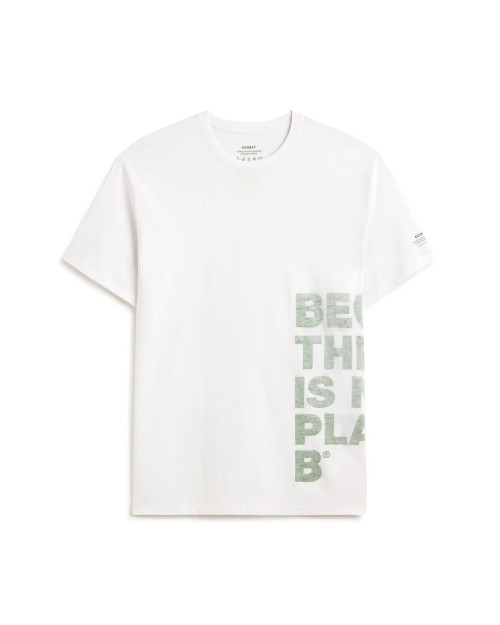 CAMISETA BIG ALGODON