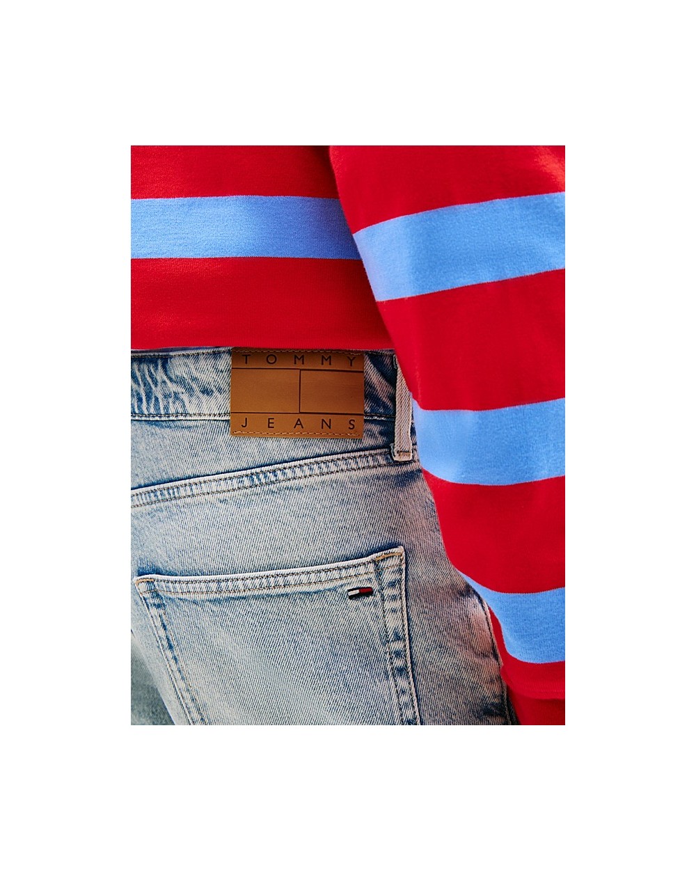 BERMUDA VAQUERA SCANTON